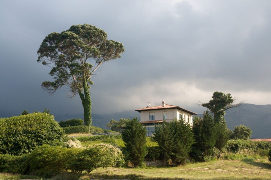 Property interpreter in Asturias